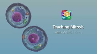 Visible Biology | Explore Mitosis in 3D screenshot 3