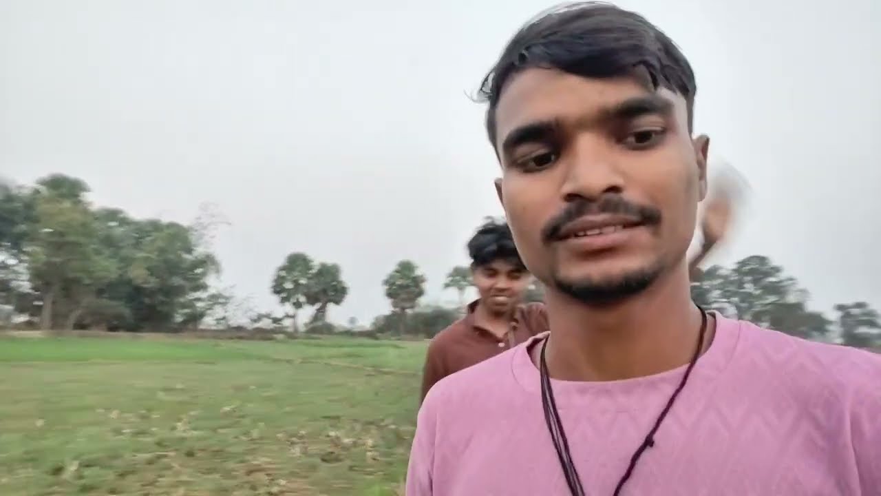 🌾 सुनहरी गेहूं की फसल तैयार | खेतों का नज़ारा #vlog #ytshorts #vlogs 