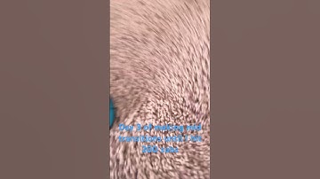 Day three of making mid transitions until I hit 200 subs #shorts #transition