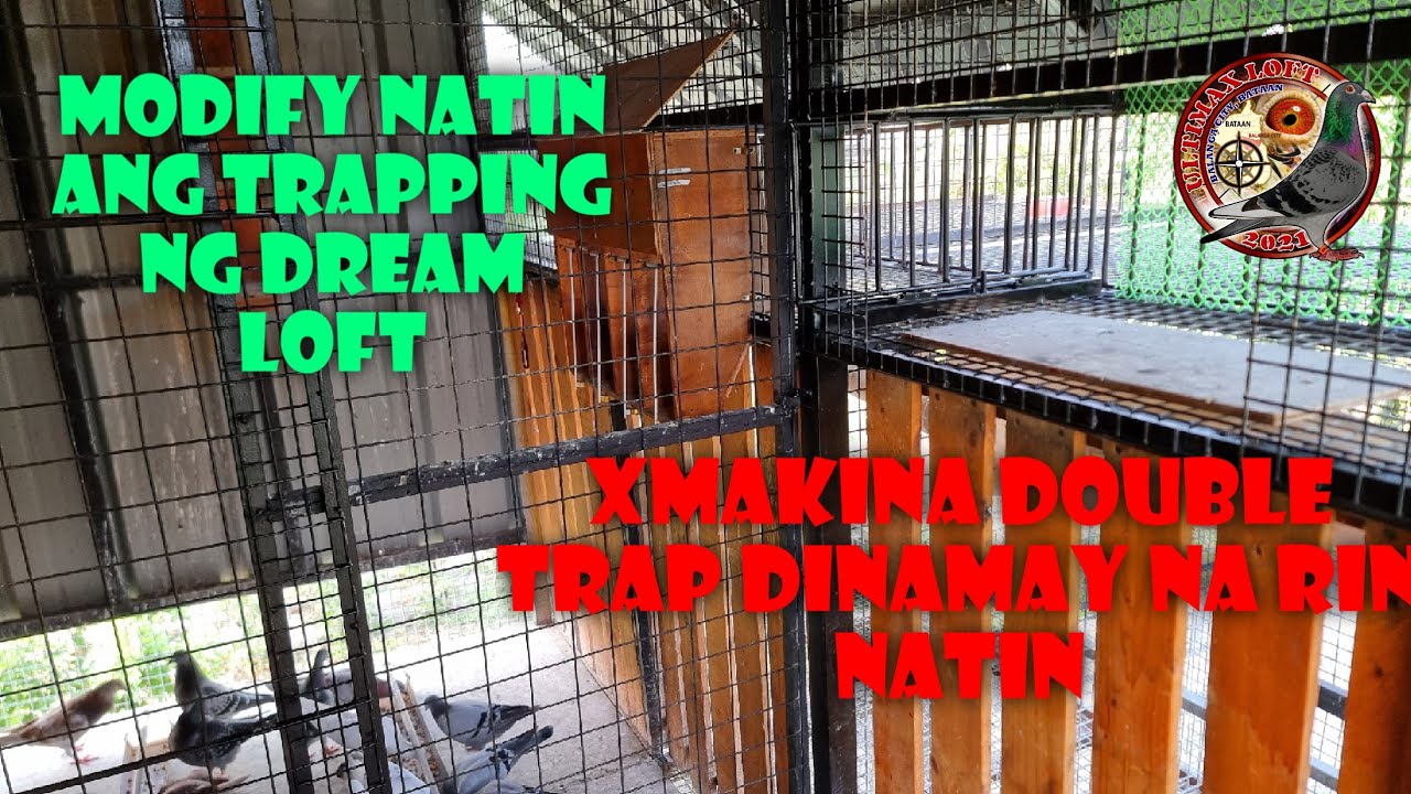 MODIFY NATIN ANG ANG TRAPPING NG DREAM LOFT,  XMAKINA DOUBLE TRAP DINAMAY NA RIN NATIN