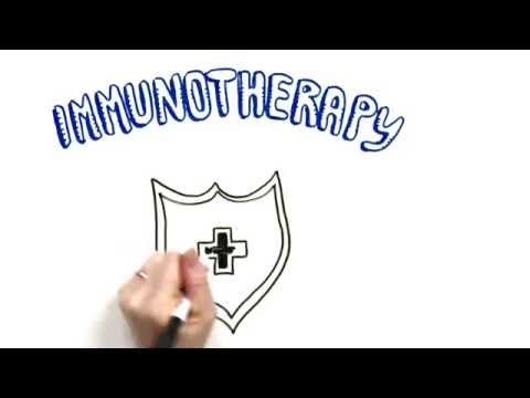 Video: Høydepunktene På Det 31. årlige Møtet I Society For Immunotherapy Of Cancer (SITC),