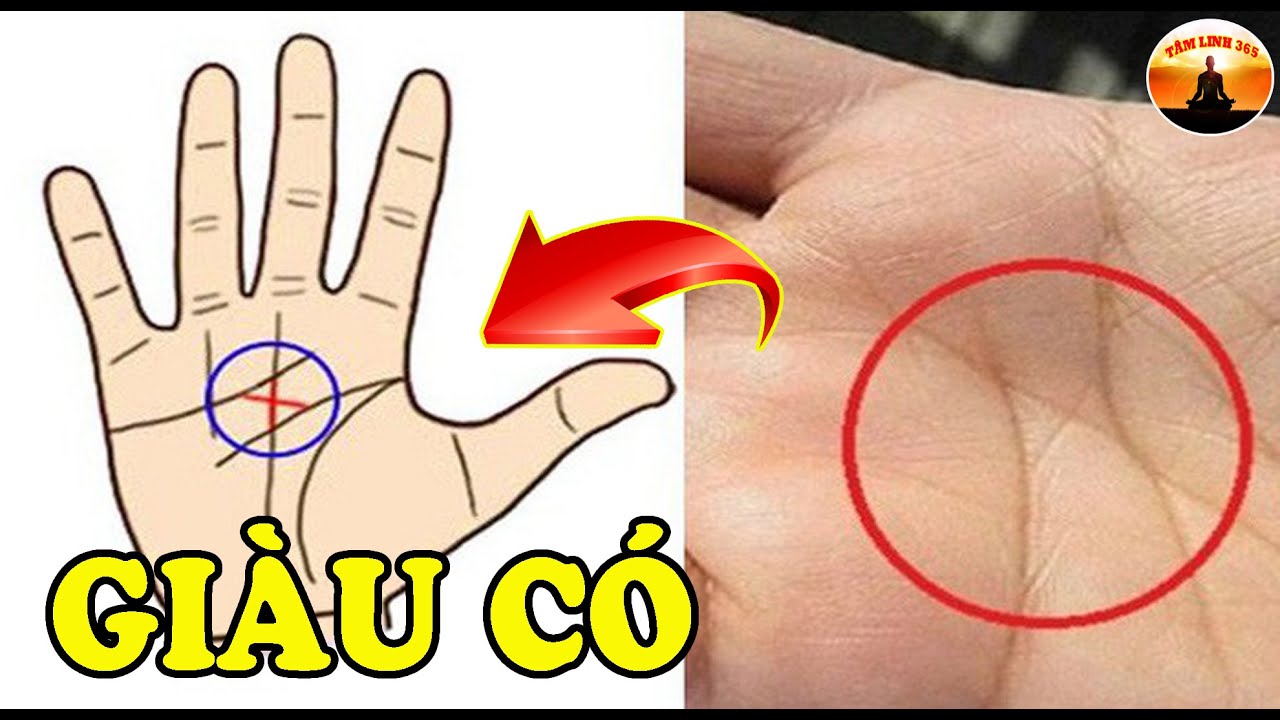 Xem bói Chỉ tay trúng số độc đắc