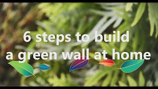 6 Steps To Build A Green Wall At Home