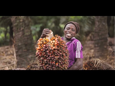 Kigoma Investment Guide In Details