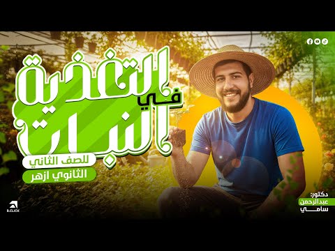 1 شرح التغذية في النبات أحياء تانية ٢ ثانوي أزهر الشعيرة الجذرية وامتصاص الماء والأملاح