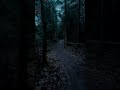 This feeling  nature  calm  darkaesthetic  #vibe #shorts