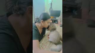 Love 😺 🐾#cat #cats #catshorts #catvideos #kitten #kitty #pets #pet #petlover #cutekitty