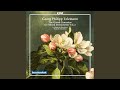 Miniature de la vidéo de la chanson Concerto In D Major For 3 Trumpets, 2 Oboes, Timpani And Strings Orchestra, Twv 54: I. Intrada