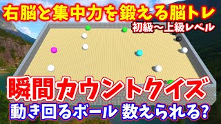 右脳と集中力を鍛える脳トレ！瞬間カウントクイズ全１０問！動き回るボールを数えられますか？初級から徐々に難しくなり、上級レベルまで挑戦しよう！ screenshot 2