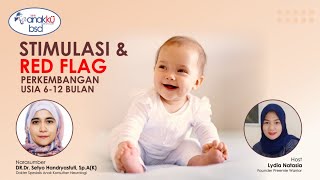 Seri 1 - Stimulasi dan Redflags Perkembangan Bayi Usia 6-12 Bulan
