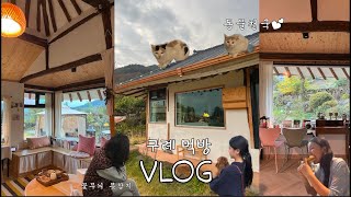 [구례 브이로그]촌캉스 브이로그💝 숙소 존예...근데 대체 얼마나 먹은건지? 먹방 브이로그(구례숙소추천,구례쉼뜰,당골식당,행운분식,부부식당,지리산치즈마을,술먹방,폭식)