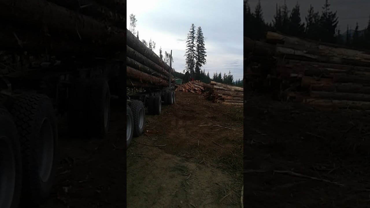 BC WOMAN logging truck driver BC YouTube