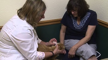 Part 5 - Enhancing the Feline Examination - Veterinary Teams