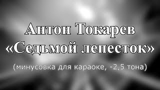 Антон Токарев - "Седьмой лепесток" (караоке из минусовки, -2,5 тона)