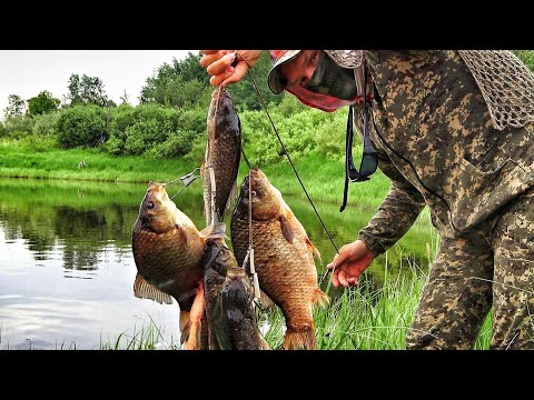 Видео: НЕ ВЕРИТСЯ! РЫБА КИШИТ! БЕШЕНЫЙ КЛЁВ ЩУК, ОКУНЕЙ, ЯЗЕЙ! Рыбалка в Е...ЯХ часть 2