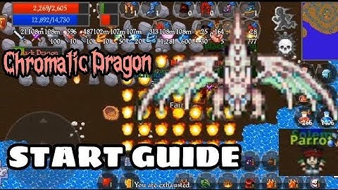 The Chromatic Dragons Start Guide | Kakele Online