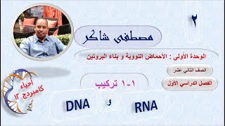 الدرس الأول جزء 2  تركيب DNA و RNA (الحمض النووي) أحياء كامبردج 12