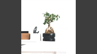 Sunny Backdrops for Remote Work