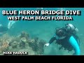 BLUE HERON BRIDGE (DIVE &amp; SNORKEL) WEST PALM BEACH FLORIDA