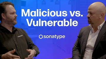 Malicious vs. Vulnerable: Understanding Open Source Risk
