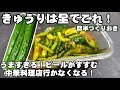 もう中国行くな！きゅうりは叩いて和えろ！簡単作り置きレシピ！たたき胡瓜 涼拌青瓜 作り置き 常備野菜 副菜 節約 大量消費 おつまみヘルシーレシピ 漬物