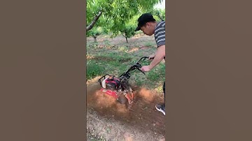 Mini Tiller Machine in Action | Powerful Farming Tool for Easy Soil Preparation part 1022