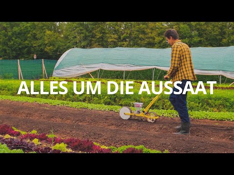 Video: Regeln Für Die Aussaat