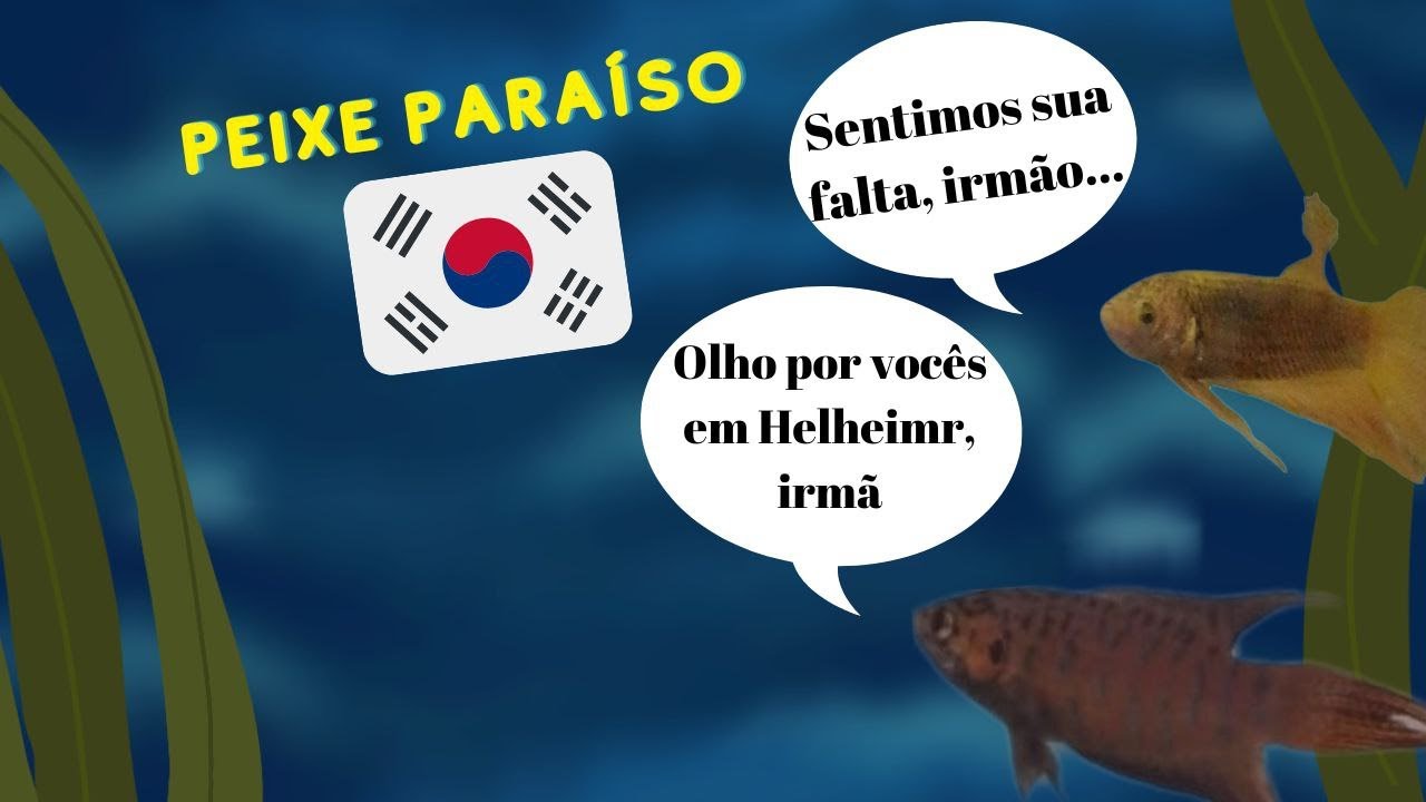 TUDO SOBRE O PEIXE PARAÍSO! - Paraíso dos Peixes - Aquarismo - YouTube