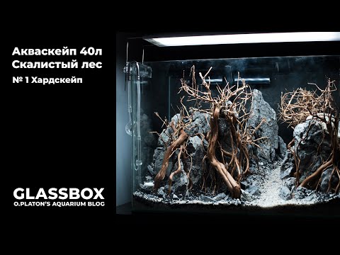 Видео: #Акваскейп 40л. (Скалистый лес ) - 1 #Хардскейп.