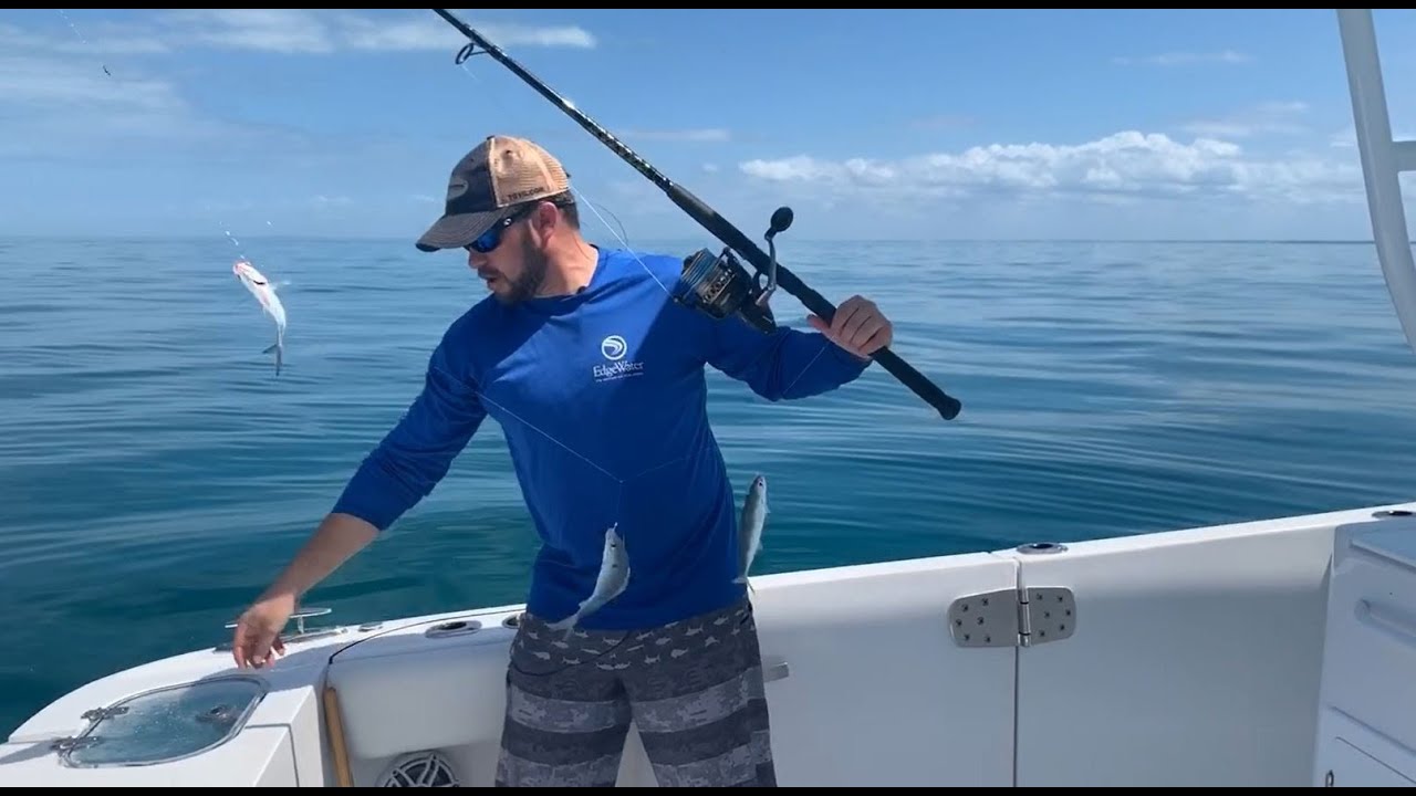 How to Catch Live Bait with a Sabiki Rig on the West Coast of Florida 