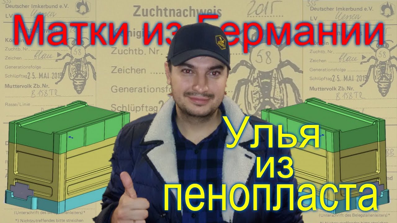 ⁣Матки из Германии Улья из пенопласта - Денис Фадеев