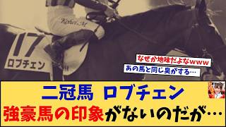 【競馬】「二冠馬ロブチェンなぜか強豪馬の印象を持てないんだが…」に対する競馬に役立つまとめ