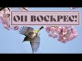 Он воскрес! - красивая пасхальная песня