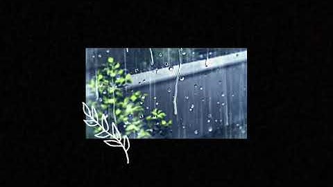 ما تيسر من سورة الزمر -يونس اسويلص-