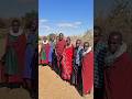 6 Wives 1 Maasai рџ Ќ рџ ґ Maasai Culture Polygamy Respect Tradition 