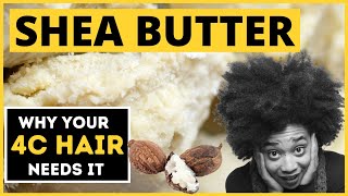 Why Your Type 4/4C hair NEEDS Shea Butter or A Shea Butter based Conditioner