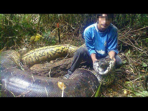 Video: Ho Mangiato Il Cuore Pulsante Di Un Serpente Vivo In Vietnam. Mai Più