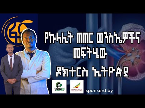 Doctors Ethiopia : የ ኩላሊት ጠጠር ምልክቶች ሀመሙ ሳይታወቅ ጉዳት ሊያስከትል ይችላል//Doctors Ethiopia