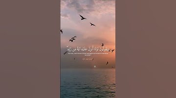 #سورة_يونس{19.20}🕊🤍 #راحة_نفسية #قرآن #تدبر_القرآن_الكريم #يارب #explore #edit #quran #video