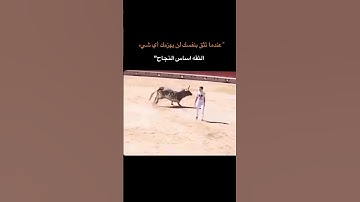 فعلاً💗 #قرآن #سورة_الكهف #اسلام_صبحي #اكسبلور #جورة_سان #لايك #قرآن #ترند #توعيه #ستوريات_دينية