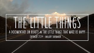 The Little Things   A Documentary on Beauty by Mallory Shoemaker