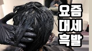 요즘 흑발 대세는 이거! 👀 페이크 블랙 염색 유지력 테스트