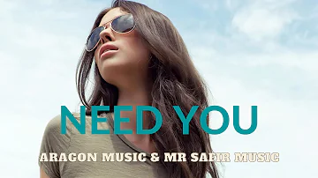 Aragon Music & Mr Safir  - Need You