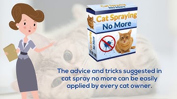 Cat Spraying No More Review - Does It Work or Scam?