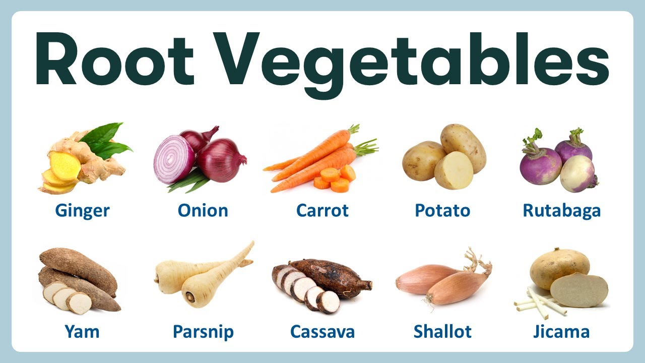 Vegetables list. Vegetables in English. Root Vegetables. Корнеплоды на английском языке. Root Vegetables перевод.