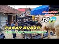 Trubus semi  review loading sapi  ada bapak bapak dapat  bakalan super murah  murah banget 