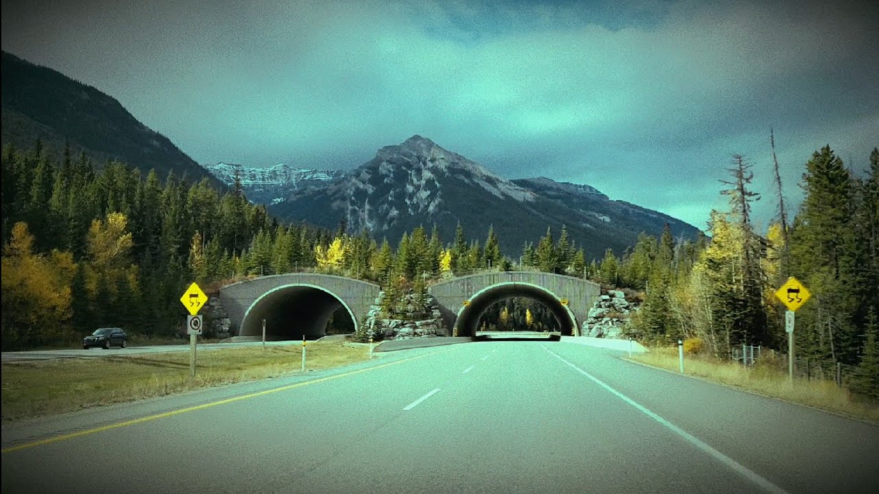 Boards of Canada One Very Important Thought YouTube