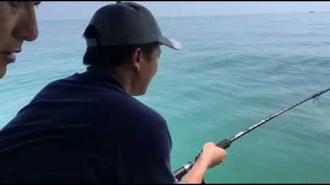 Câu cá hồng - Sơn trà ĐN