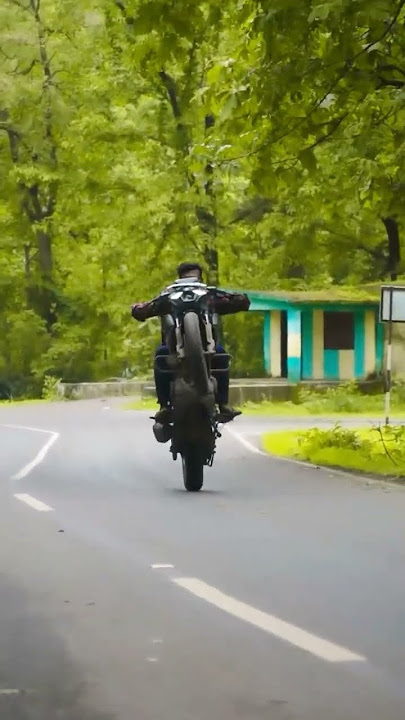 250cc bike willi