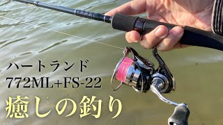 ダイワ　ハートランド　772ML+FS-22